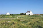 Ile de Sein-maisons dans la lande