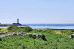 Ile de Sein-murets de pierres-phare en arrière plan