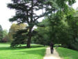 Azay le Rideau : le château, parc