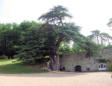 Château Valmer : arbre centenaire