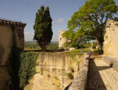 Chinon : le château,  tour de Boissy et tour du Moulin