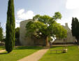 Chinon : le château, cour intérieure