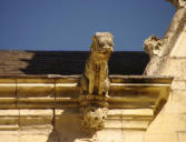 Rigny Ussé : le château, gargouille