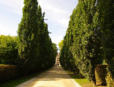 Azay le Rideau : le château, entrée, l'allée d'honneur