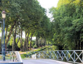 Briare : le pont sur le vieux canal de Briare bordé d'arbres