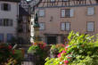 Colmar-maisons-fontaine avec statue-fleurs-quartier des tanneurs