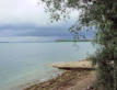 Chantecoq : le lac du Der-le rivage