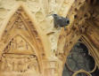 Reims : la cathédrale-détails de la construction au dessus d'un portail