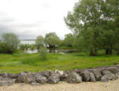 Chantecoq : le lac du Der-paysage bord du lac