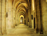 Langres : cathédrale Saint-Mammès-bas côté