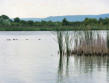 Le lac de Madine : les abords 
