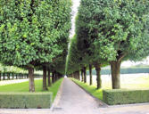 cimetière de Saint Mihiel :aménagement du cimetière-allées