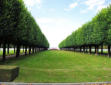 cimetière de Saint Mihiel :aménagement du cimetière