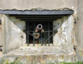 Fort de Vaux : meurtrière avec canon