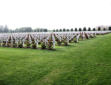 cimetière de Fleury devant Douaumont dit l'Ossuaire de Douaumont-des milliers de tombes
