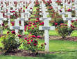 cimetière de Fleury devant Douaumont dit l'Ossuaire de Douaumont-tombes fleuries