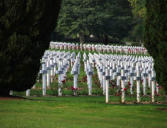 cimetière de Fleury devant Douaumont dit l'Ossuaire de Douaumont-tombes