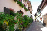 Eguisheim-rue pavée-maisons colorées 7