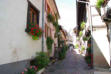 Eguisheim-rue pavée-maisons colorées 8