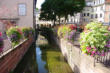 Colmar-la petite Venise-canal-barrières et fleurs