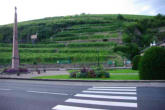 Turckheim-vignes à flanc de coteau