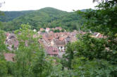 Kaysersberg-vue sur le village dans la verdure
