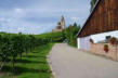 Hunawirh-église Saint Jacques le Majeur au milieu des vignes