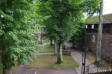 Château du Haut Koenigsbourg-jardin