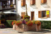 Dambach la Ville-fontaine fleurie