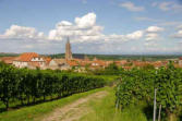 Dambach la Ville-vue du village depuis les vignes