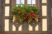 Dambach la Ville-fenêtre fleurie