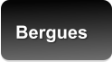 Bergues