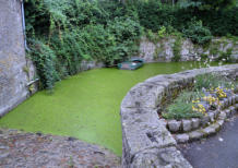 Cassel : sortie du bassin de lavage des chevaux