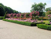 Massifs de fleurs et allée du parc du château