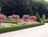 Massifs fleuris du parc du château