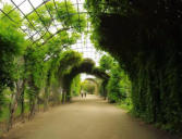 Allée de verdure vers le palais de Compiègne