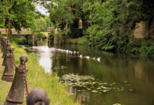 Bergues : canal du roi