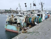 Cherbourg : le port de pêche, bateaux de pêche à quai