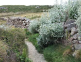 cap Lévi : Chemin des douaniers et muret en pierre