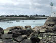 Barfleur : le port