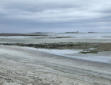 Saint Vaast la Hougue :la côte