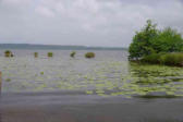 lac Léon : balade autour du lac Léon