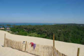 Dune du Pyla : vue sur la végétation en contrebas.