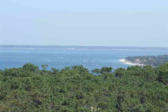 Dune du Pyla : le massif forestier ( landes )disparait, mangé par la dune.