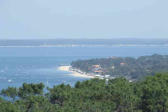 Dune du Pyla : vue sur la baie d'arcachon