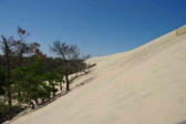 Dune du Pyla : peu de végétation sur la dune