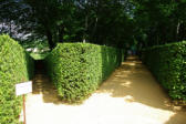 Salignac Eyvigues : les jardins du manoir d'Eyrignac allée de la pagode