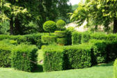 Salignac Eyvigues : les jardins du manoir d'Eyrignac 13