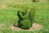 Salignac Eyvigues : les jardins du manoir d'Eyrignac, sculpture végétale 3