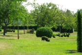 Salignac Eyvigues : les jardins du manoir d'Eyrignac 20